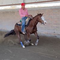 humbertotorresneg