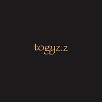 togyz.z