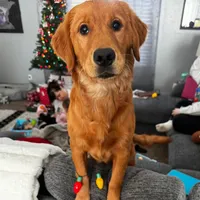 original sound - rylan.av