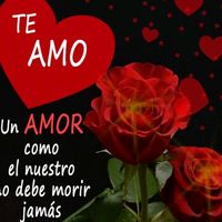 amorcit240amorcit