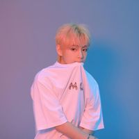 iz_btsdiy