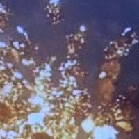 original sound - acotarohor
