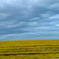 оригінальний звук