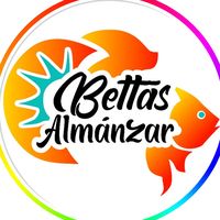 bettasalmanzar
