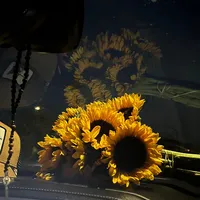 original sound - mv_ut_14_