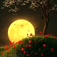 original sound - usman.waqas4