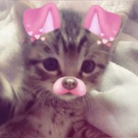 user1224455677891