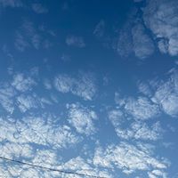 suara asli - Gampang Sambat