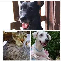 original sound - aleja09_26