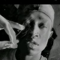 slimwailer