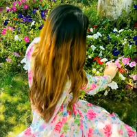 sidsuhani__29