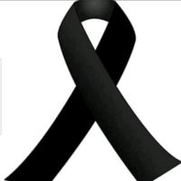 luis___2799