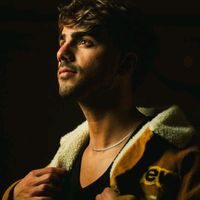 ashley_vigevani1