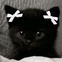 blueberry_1a