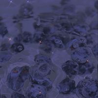 lunar_eclipse222