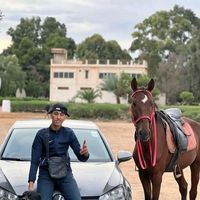 cheval_hippodromes_31