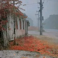 original sound - mateusdutraofc2