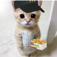 damienquniez0