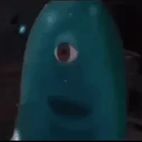 original sound - 5hak4r