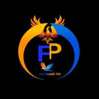 fly.promo704