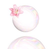 piracanjulia_voltapramim