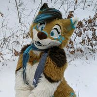 aquafrostwolf