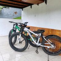lucca1010100