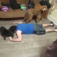 dangrdangr