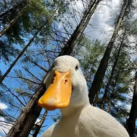 original sound - happy_moon25