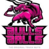 bullsballs.us