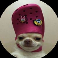 dudarochaa__
