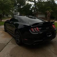 venom__5.0