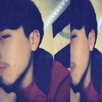 _.elnoee
