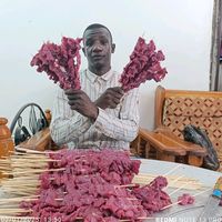 الصوت الأصلي