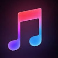 musically.877