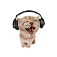 original sound - _.zakolka