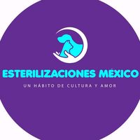 esterilizaciones.mexico