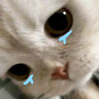 原聲 - 我愛你