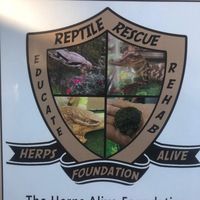 hafreptilerescue