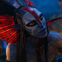 noxus25