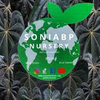 soniabpnursery