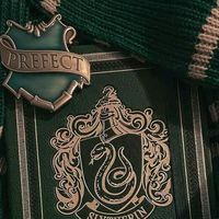 .slytherin.boyss_