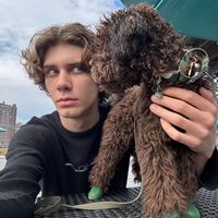 benjaminpostingthings