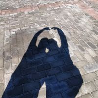 suara asli - intan.joe