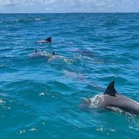 Picture to burn by Taylor swift