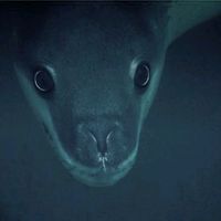 the_house_in_which0000