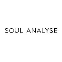 soulanalyse