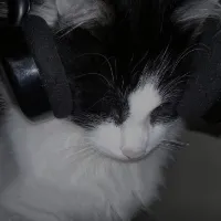 original sound - midnightlunartear