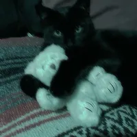 original sound - lovemetal11