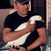 original sound - ramireitormendez_